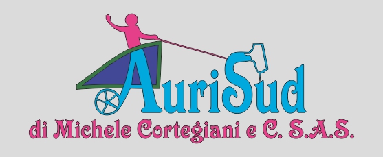 Aurisud di Michele Cortegiani e C. s.a.s.